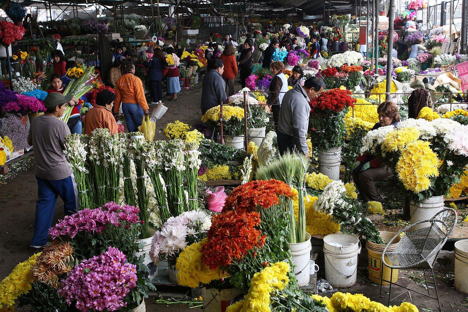 Desechos orgánicos del mercado de flores serán convertidos en abono