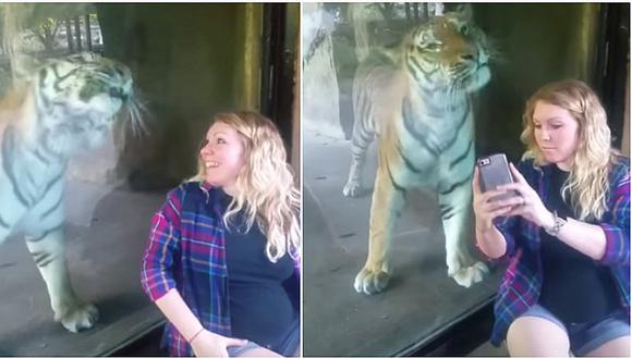 Embarazada quiso un "selfie" con un tigre y lo que pasó después fue realmente hermoso