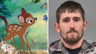 Cazador mató a más de 100 ciervos y lo condenan a ver la película "Bambi" una vez al mes