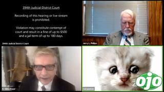 “No soy un gato, señor juez”: Abogado protagoniza divertido momento en medio de una audiencia | VIDEO