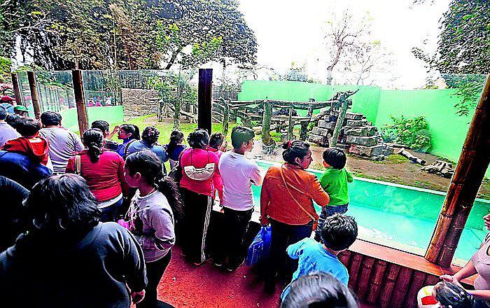 Concierto en Parque de Las Leyendas afectaría a animales