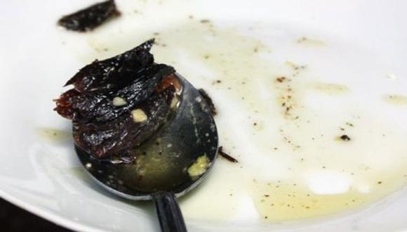 Carne de delfín se vendía como plato exótico en restaurante del Callao 