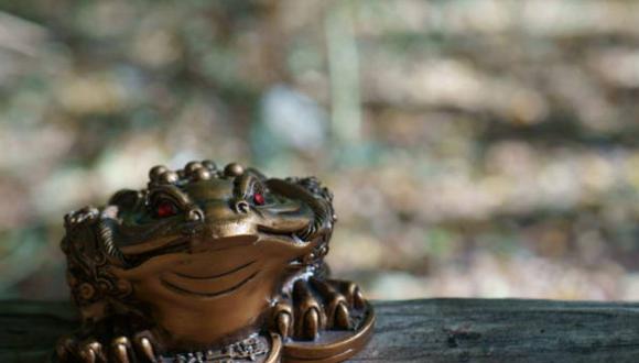 La creencia señala que las  ranas son transmutadoras de energía y que cuentan con virtudes mágicas (Foto: Pixabay)
