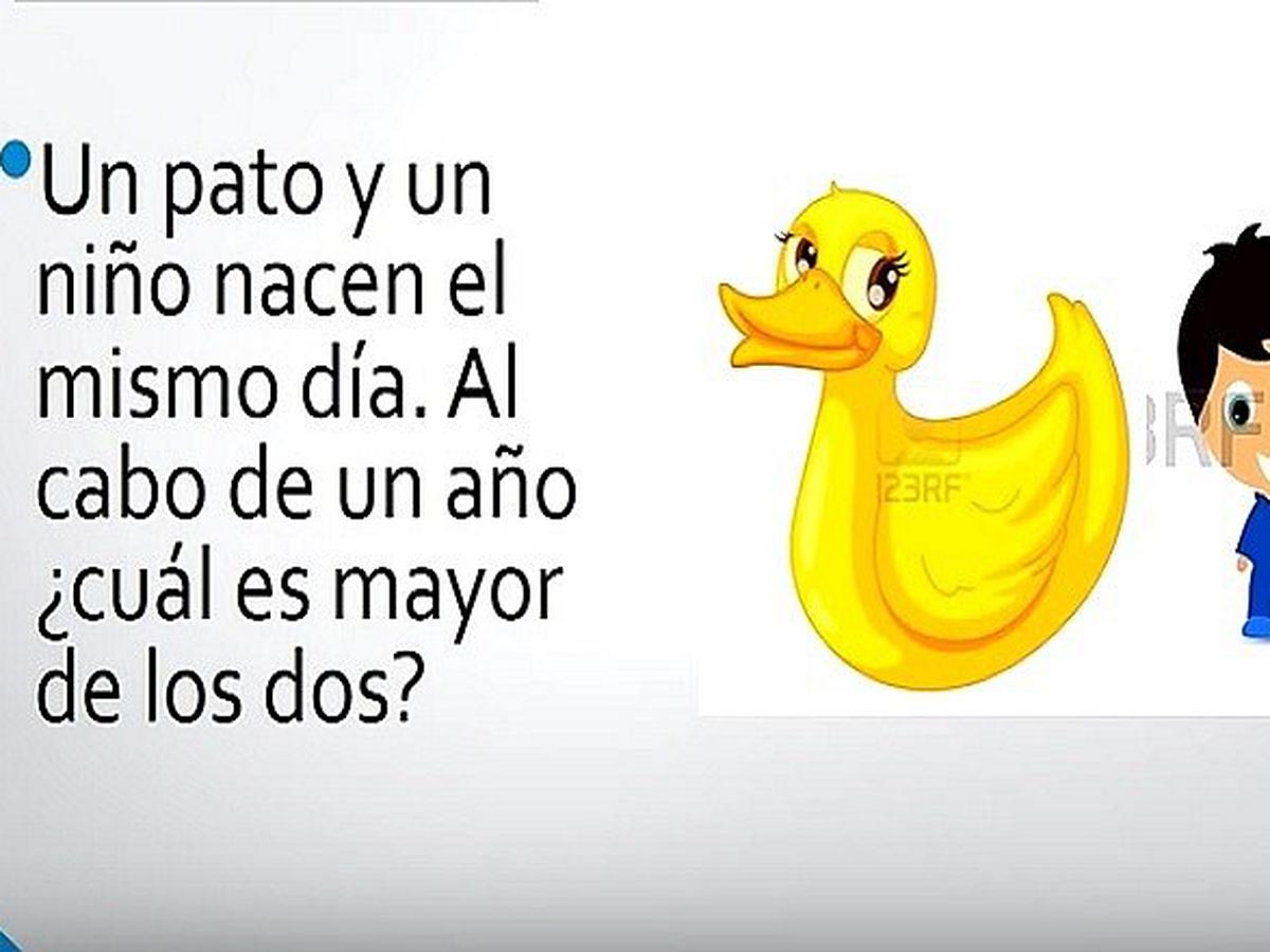 Acertijo Del Pato Cual Es La Respuesta A Esta Gran Incognita Video Locomundo Ojo Las cuentas para niños o adolescentes son un tipo de cuenta bancaria que tienen como objetivo acercar las finanzas personales y la cultura del ahorro a los más pequeños de la casa. acertijo del pato cual es la