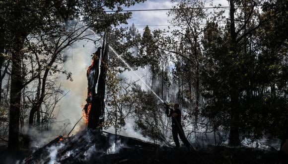 Un bombero intenta extinguir un incendio en un bosque cerca de Saumos, suroeste de Francia el 14 de septiembre de 2022.  (Foto de Thibaud MORITZ / AFP)