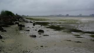 Esto provocó que el mar en playas de Florida se retirara antes de la llegada del huracán Ian