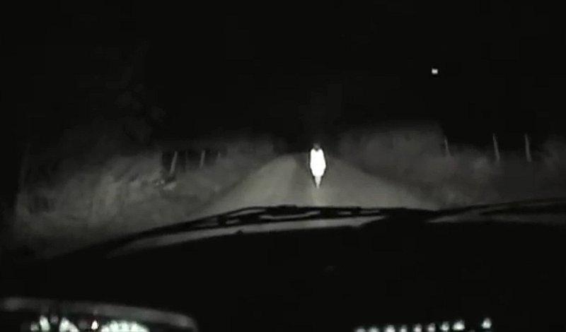 5 videos terroríficos que circulan en Internet y no te dejarán dormir