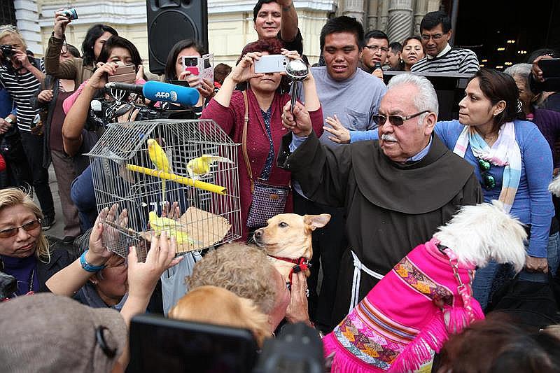 San Francisco: bendicen animales porque también son hijos y criaturas de Dios