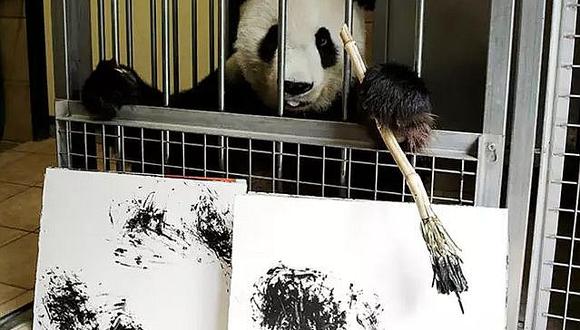 ​Osa Panda Yang Yang pinta obras de arte y las vende para juntar plata (VIDEO)