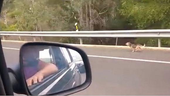 Facebook: Abandonan a perro y este los sigue desesperado por la carretera [VIDEO]   