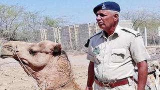 Tristeza embarga a camello tras muerte de su cuidador: se niega a comer y beber