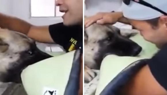Joven juega y acaricia a su mascota hasta que esta muere (VIDEO)