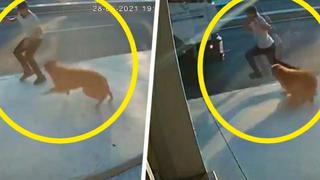 Perro bravo asusta a transeúnte y provoca que camión arrolle al hombre que escapaba