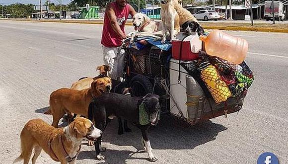 Con su triciclo recorre casi todo un país rescatando perros abandonados (VIDEO)