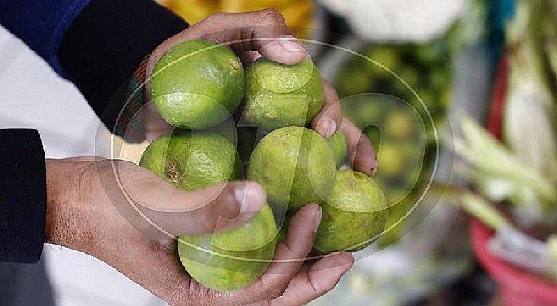¡Precio del limón continúa por los cielos!
