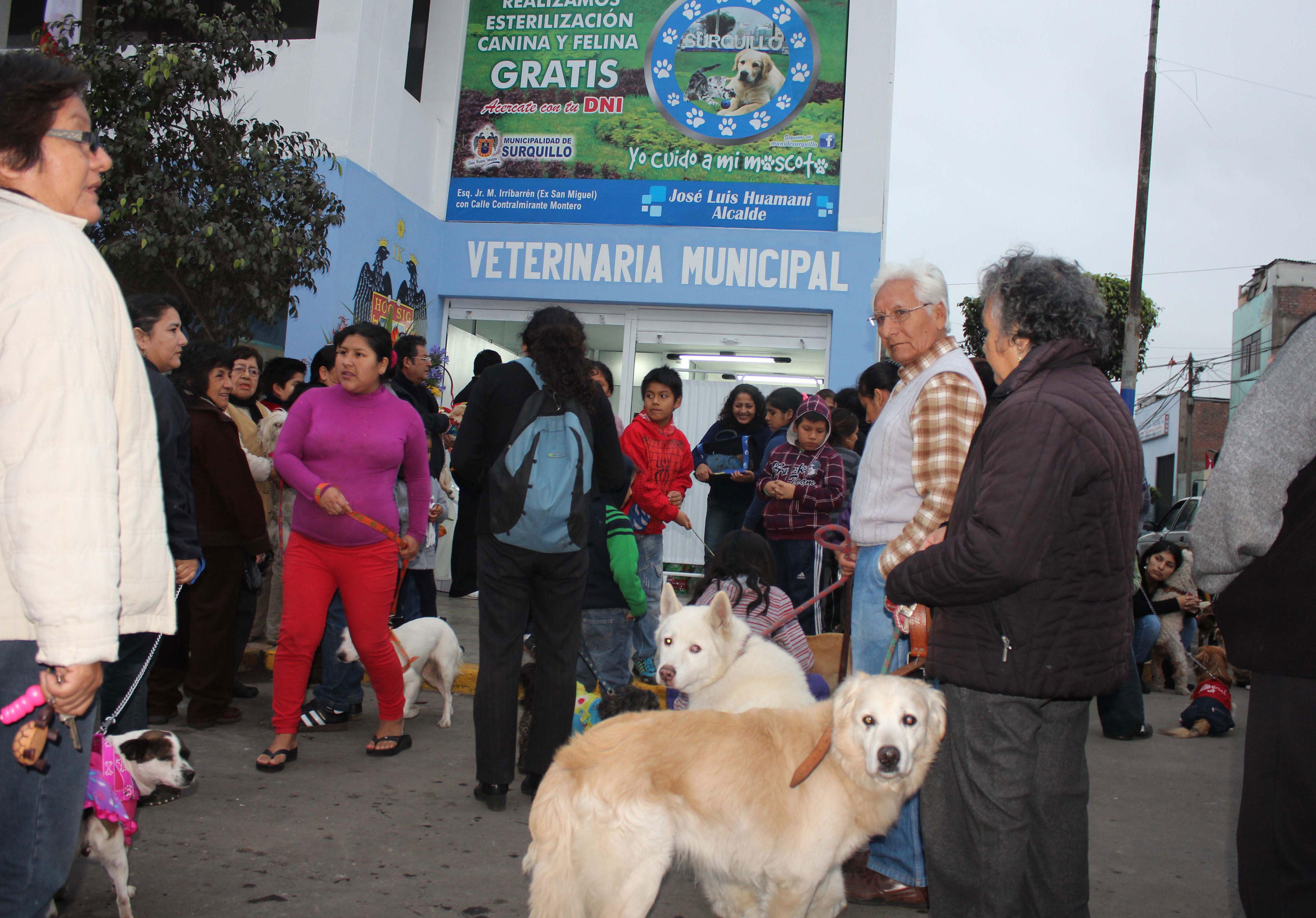 Perros serán atendidos gratuitamente en veterinaria municipal de Surquillo 