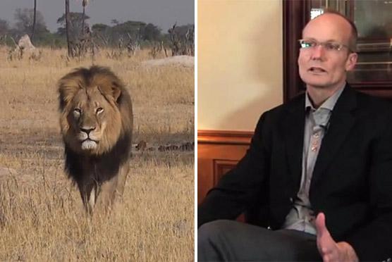 Estadounidense Walter Palmer mata al león Cecil y jura estar arrepentido