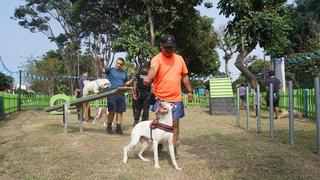 Dictarán clases gratuitas de adiestramiento a perros en Pueblo Libre: ¿dónde y cuándo? 