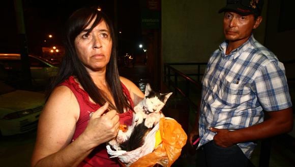 Callao: Hombre mata de un balazo al gato de su hermana [FOTOS] 