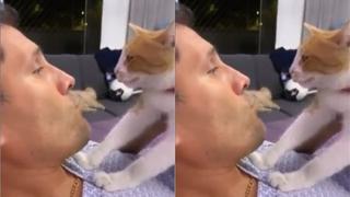 Instagram: Leao Butrón le explica a su gato que no debe salir por el estado de aislamiento | VIDEO