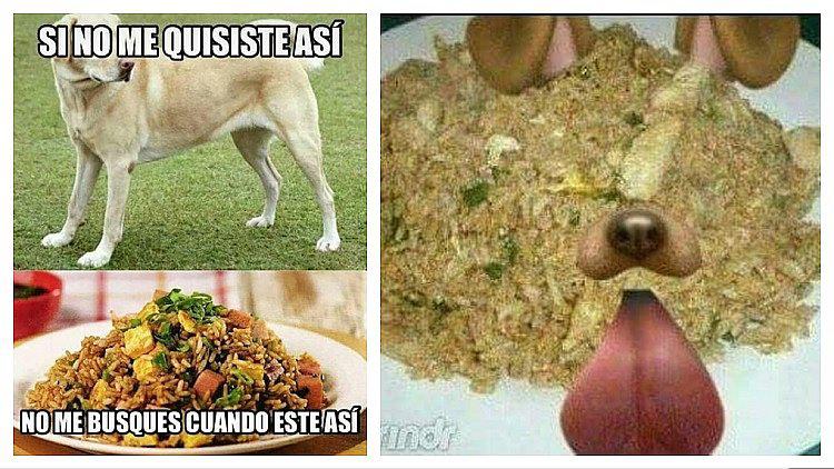 Crean memes tras denuncia de carne de perros en chifa