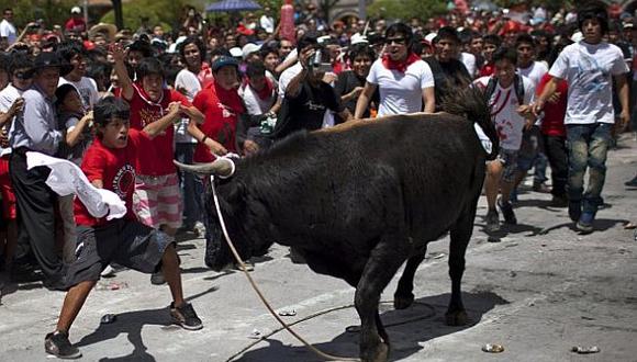 Municipalidad de Humanga será demandado por abuso y maltrato animal tras el evento 'Pascua Toro'