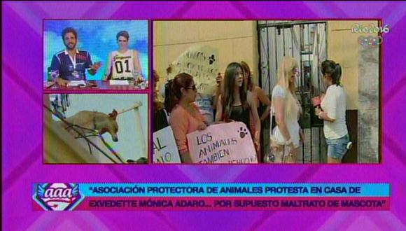 Mónica Adaro: Activistas protestan en su casa por abandono de mascota [FOTOS]