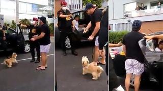 Mujer llora por su perro mientras PNP detenía a su esposo│VIDEO