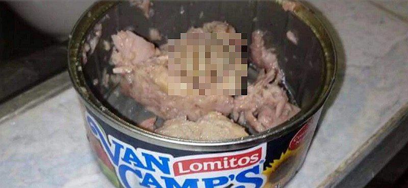 Joven abre lata de atún y encuentra la pata de un animal (FOTOS)