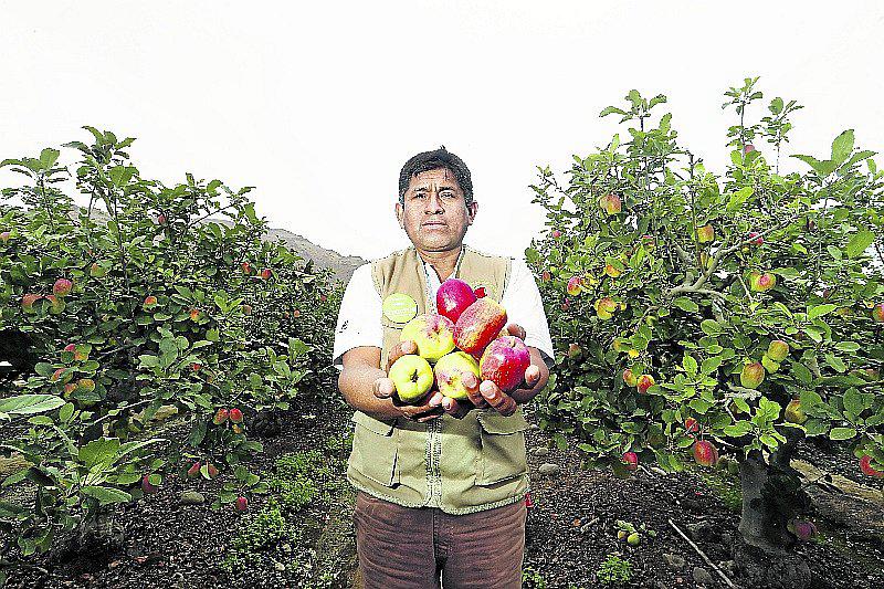    El paraíso  de las manzanas Israel