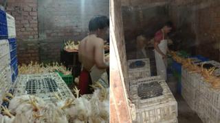 Carne de aves en condiciones insalubres se vendían en Independencia 
