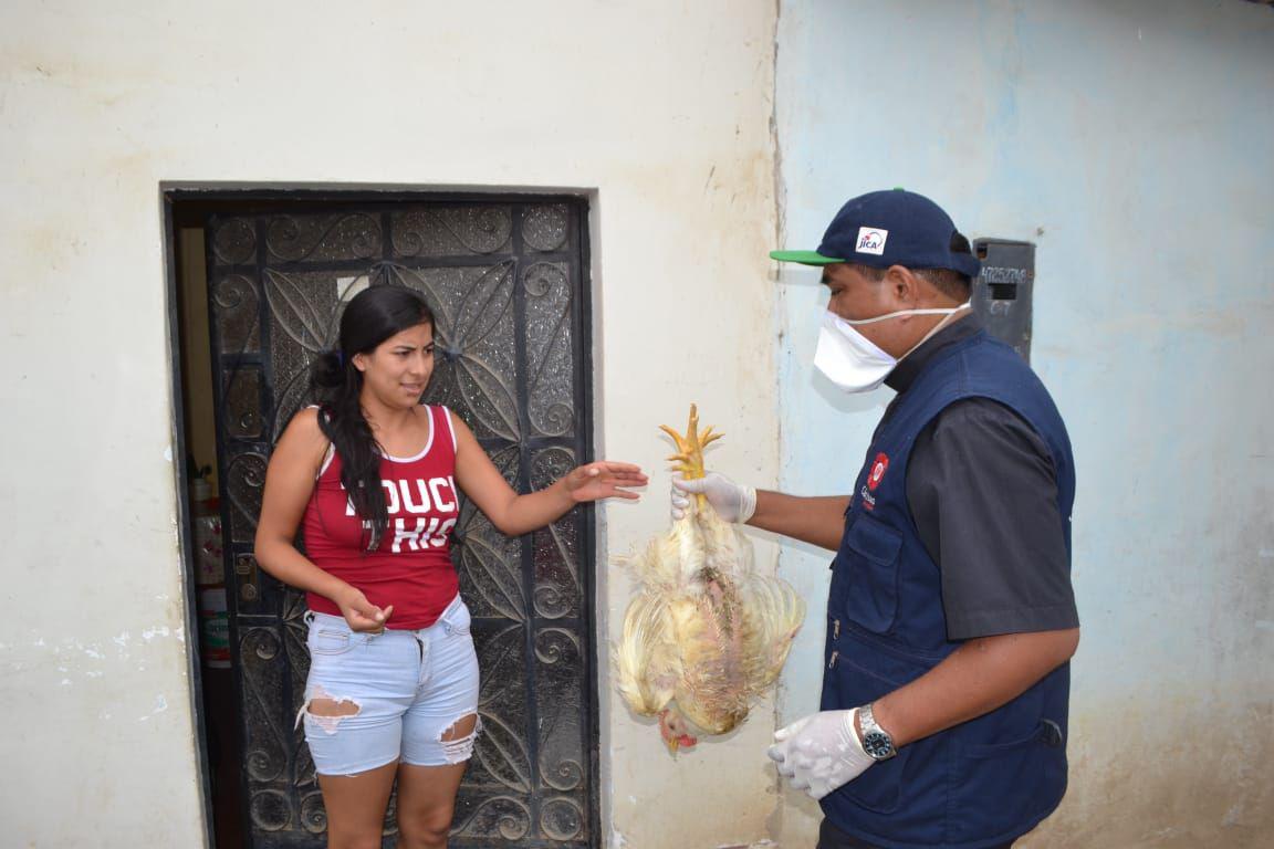 La Libertad. La Iglesia con ayuda de avícolas donaron 8 mil pollos a familias vulnerables de varios distritos populosos de Trujillo. (GEC)