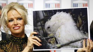 Pamela Anderson denuncia alimentación forzada de patos para fabricar paté