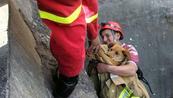 Moquegua: Bomberos rescatan a perro tras dos días de estar atrapado en cerro 