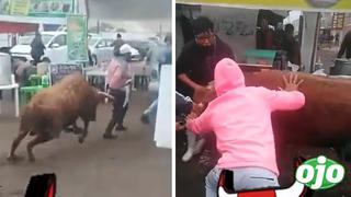 Transeúntes intentan atrapar a toro que se escapó del camal en Villa el Salvador