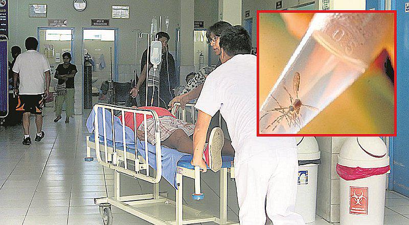 Piura: confirman primera caso autóctono en Piura 