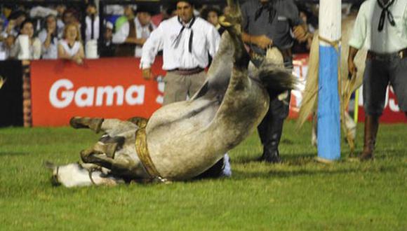 Yegua murió desnucada en pleno festival en Argentina 