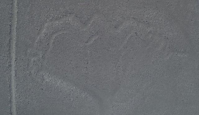 Así se ve la figura sin los detalles procesados por los investigadores. (Foto: Universidad de Yamagata)