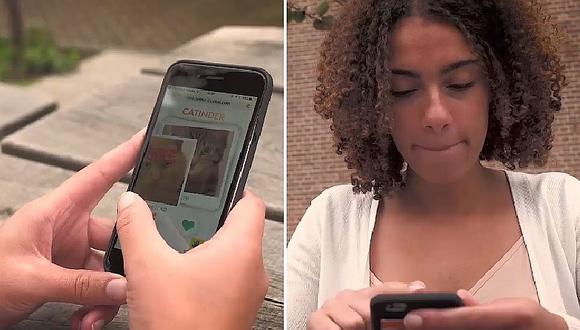 Crean un app para adoptar gatitos a través de tu celular (VIDEO)