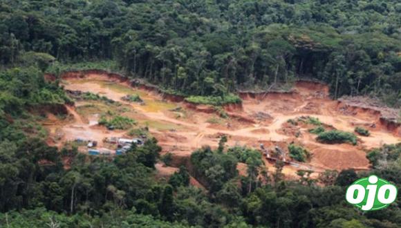Deforestación en los bosques amazónicos.