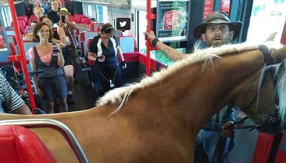 Hombre logró subir al tren con su yegua (FOTOS)
