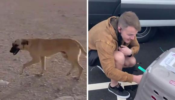 Denver Hansen se encariñó con el perro mientras hacía sus patrullajes. (Foto: Caters Clips | YouTube)