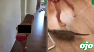 Niña pensaba que su gato jugaba con un “conejito bebé”, pero era una rata | VIDEO