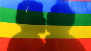 Congreso de Costa Rica aprueba 'por error' el matrimonio homosexual 