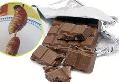 Junín: Crean chocolate a base del gusano suri para combatir la anemia