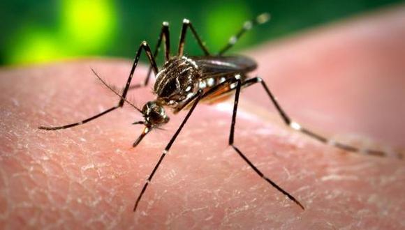 El zika también puede provocar mielitis, grave trastorno de los miembros 