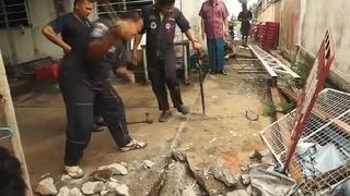 YouTube: mujer sintió que el piso se movía y encontraron algo sorprendente (VIDEO)