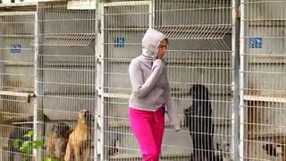 Mujer que compró refugio para salvar a todos los canes transformó local 