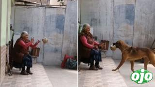 Abuelita es captada jugando con su mejor amigo y enternece las redes sociales