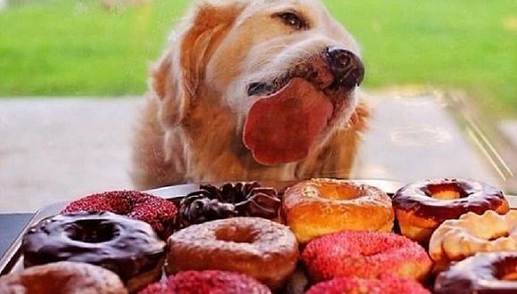 ​Perrito no se resiste al ver donuts y lame ventana desatando guerra de memes